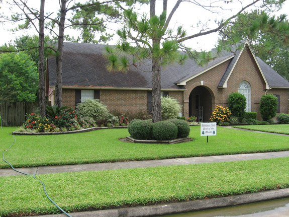 Yard of the Month for July 2008 - 1409 Castlewood