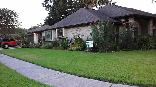 WTHOA Yard of the Month for August 2015 - 602 Fernwood